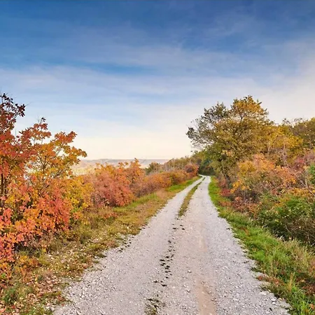 Apartman Parenzana, Little Row House With Big Yard In Istria
