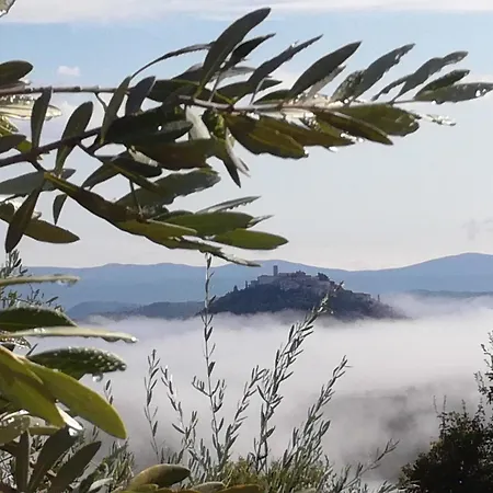 Apartman Parenzana, Little Row House With Big Yard In Istria Rakotule